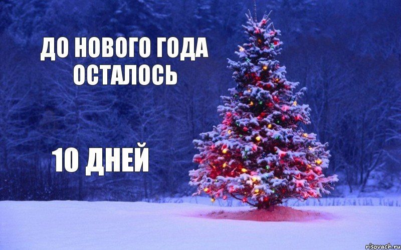 �������������. �������� ZaVtra. �������� ZaVtra ��� �������� ������