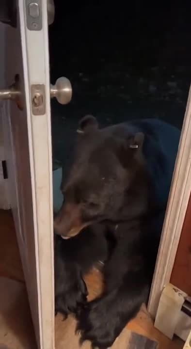 � ������ �� �����?. �������������� ��