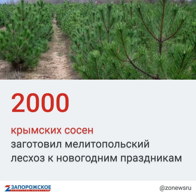 ������� ���������� ���������� � ���� ��� ����������� ����� � ������ ����, �� ������� ������� ���������� �� 5 �� 8 ���. ����� ����� ����������� �� �������� ��������� ���������� � � ����������� �������