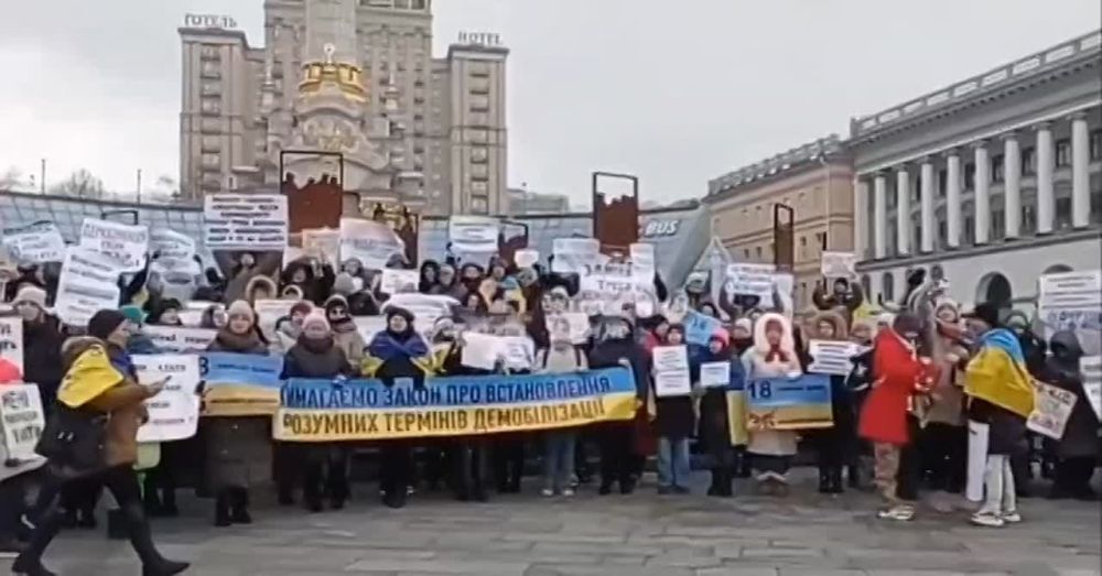 �������� �����: Ƹ�� �������������� �������� ������ � �����