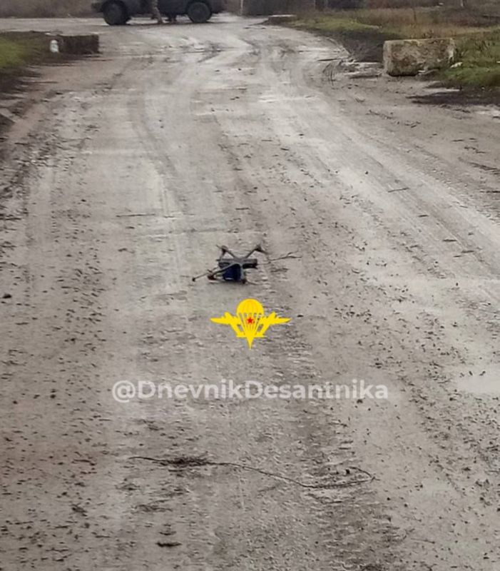 ����������� �����������. ����� �.�. ���������.. ������� �� ������ � ������� �.�. ������ �� ������ �� ������ ��������� ������ ����� �������-���������