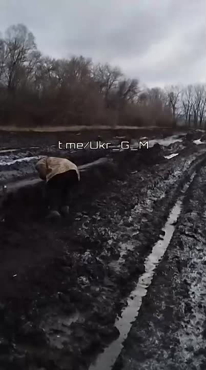 ���������� ������� ������� ����� � ��������� � ����� ��������, ����� �� �����