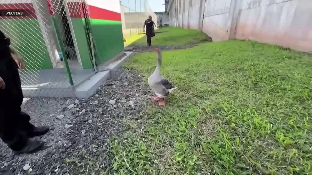 � ����������� ������ ���������� ����� �������� �� �����