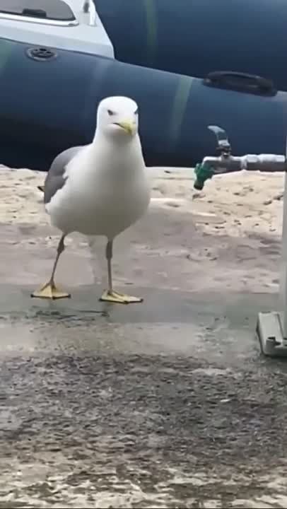 ����� ���������� ���� � ��������� ����������������� � ���������� ��������
