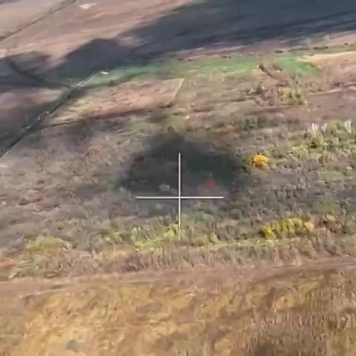 �� ����������� ������ ��������� ���������