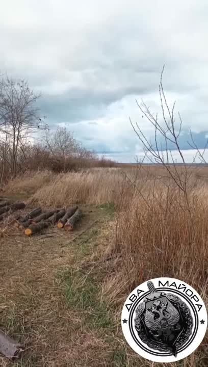 ��� ������: ����������� �����, �����. ����� ����-�������������� ���� "���� ���" �������� ���������, �� �� ����������
