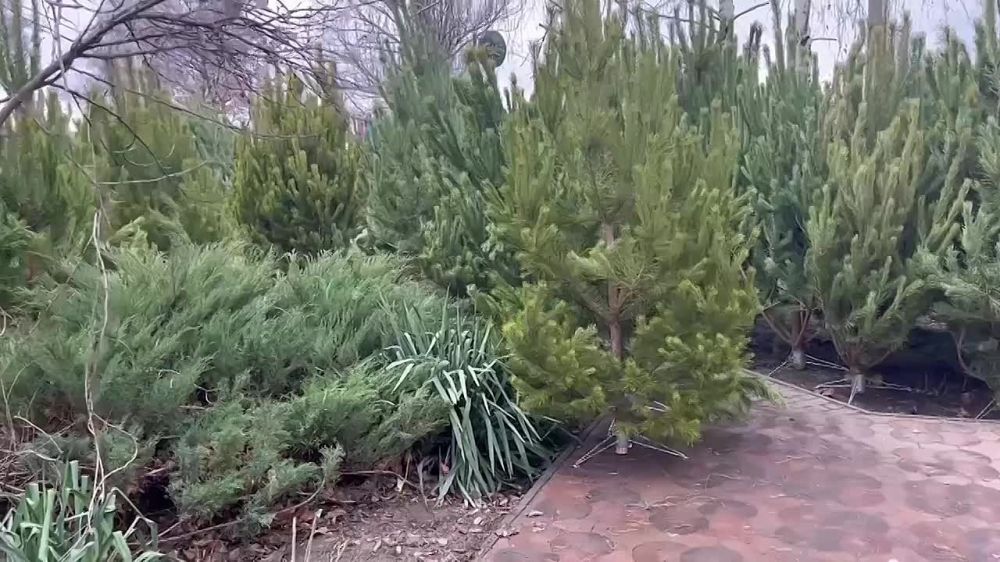 ��� �� ����� ������ ����? ��� � ��� �� �����?