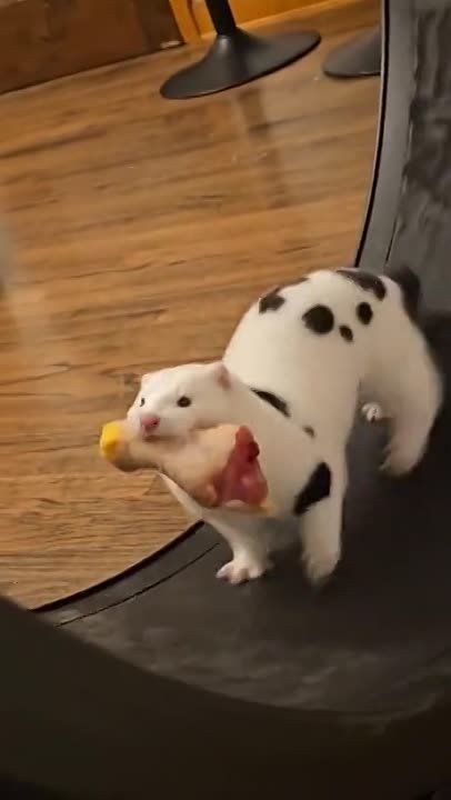 , �������� ��� � ��� � ��� ������ ��������� ������