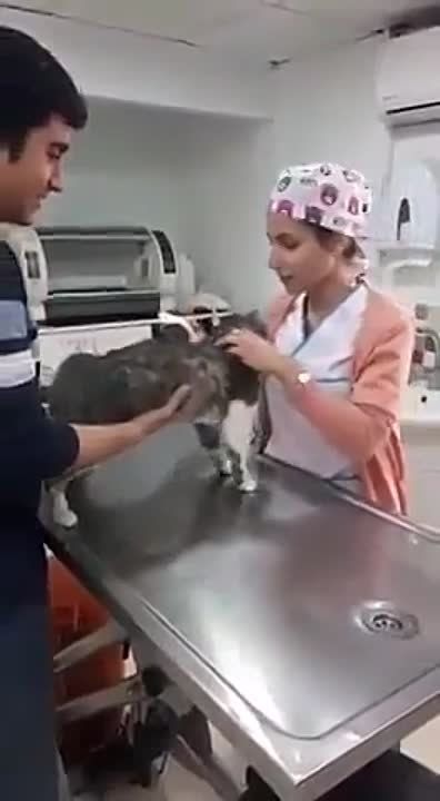 ��������� � �������� �� �� �����