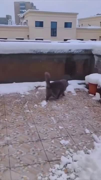 ����� ������� ������ �� ������