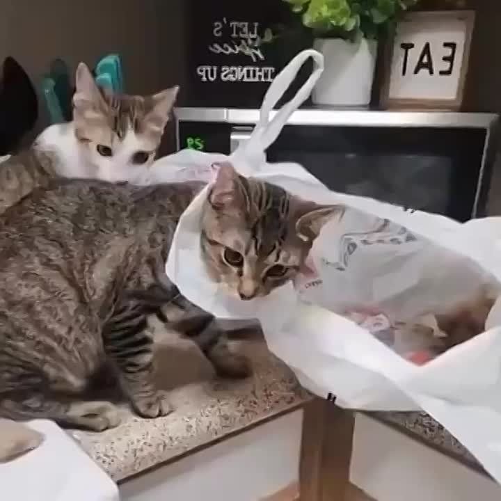 ����� ������� �����. �������������� ��