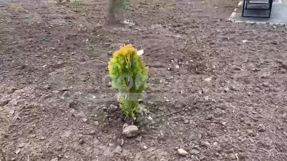 � ���������� ����������� ��������������� ���� ������ � ������ ������������ ������� ������������� ���������� ��������� ������