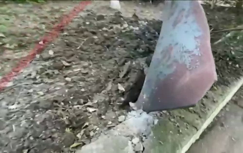 ��������� ������� "������������", ������������ ���, ���������� �� ��������