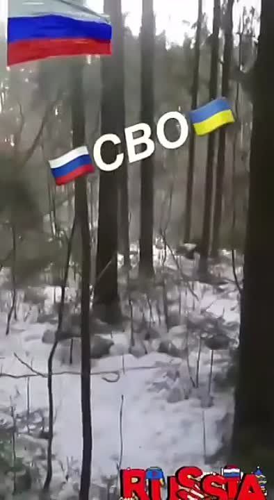 ������� ������� ����������� � ����������� �������� � ������ ��������� ����� "������"