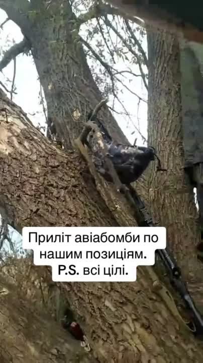 ������ ������ �� ������� ����� �� ����� �������������