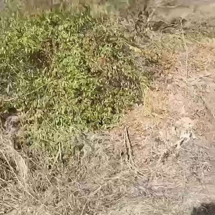 ���������� � ���������� ������� � ����������� ������� �� ������� ���������� ��������� ���������� ����� �����