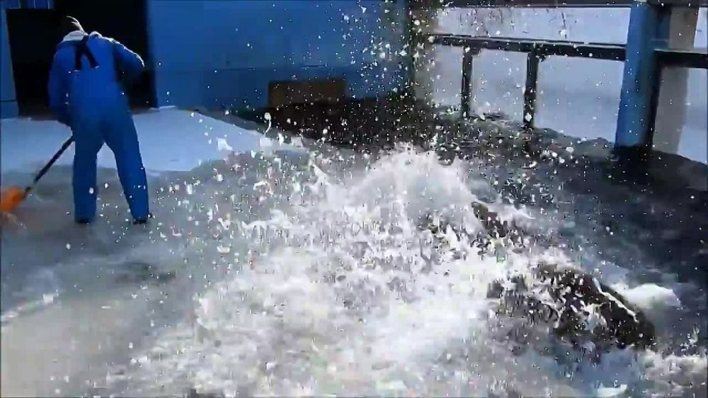 �������� �������� ����� �������, ��� ����� �������� ����������� ������� ����