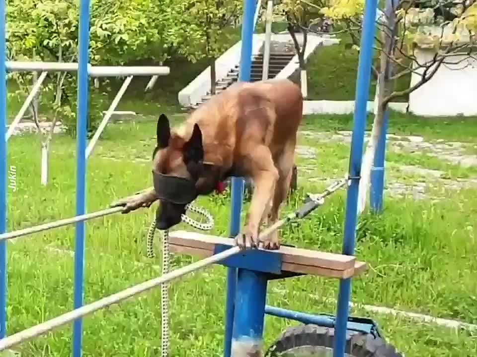 ������� ���������� �������� ���������� ��� �����������