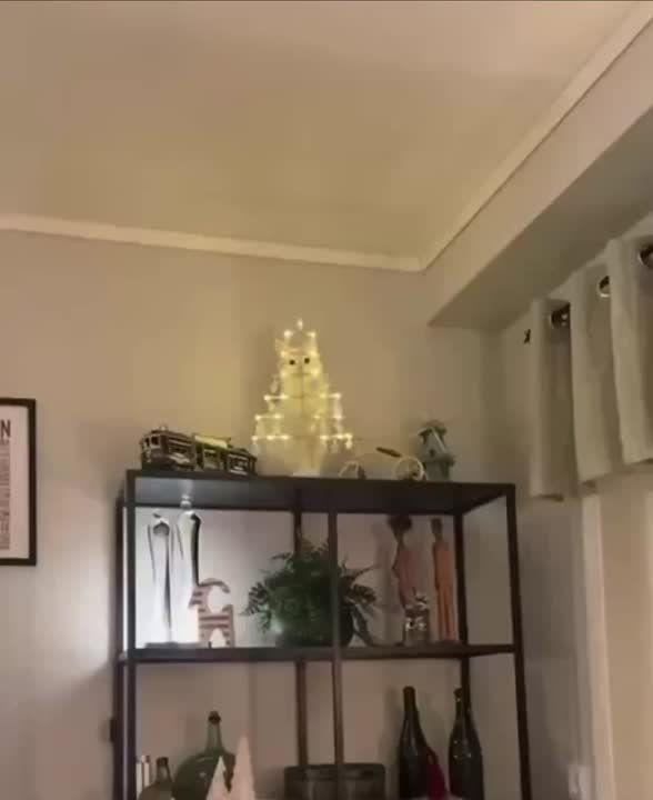 ����� ������� ����, ����� ������ ��� ����, ����� ����� �����