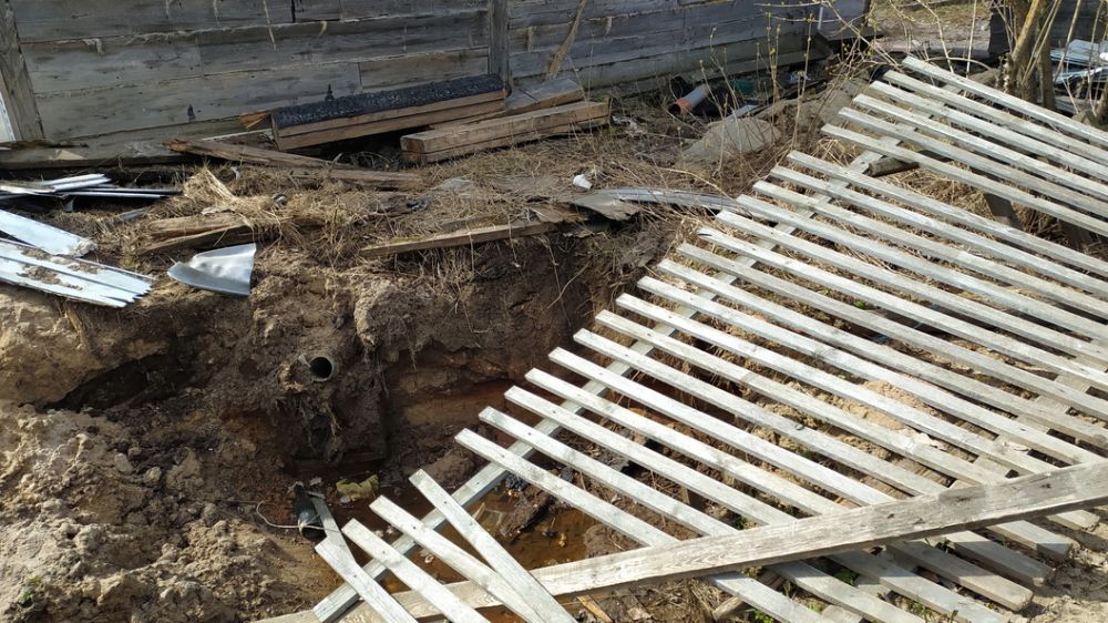 ����� �� ������� 29 �������: ���� �������� ������, ��� ������� ������, ����� �����, �������