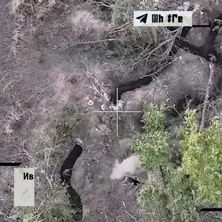 ������������ ������� � ���, ��� �������������� ���� ������ ������