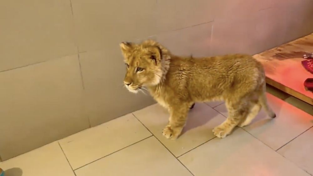 ������� ����� � ����� "������" ����� �� ���� � ����� �������������� ������