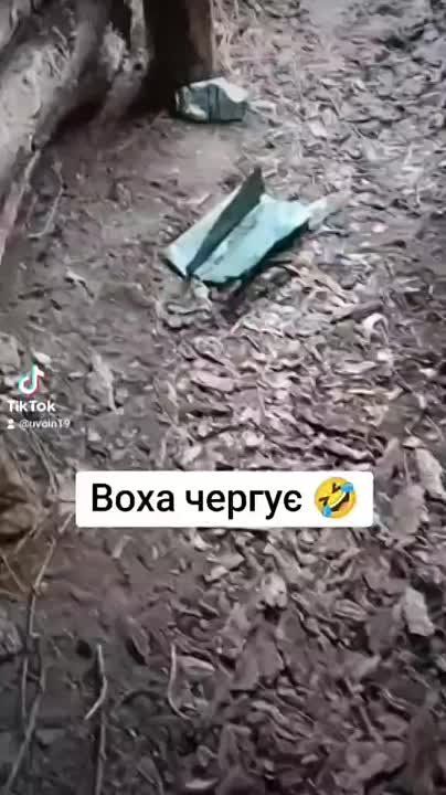 ������� ������ � � ����� �������, �� ���� ������� �� ����������, ��� ���� ���-�� ���������