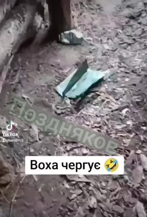 ����������� ��� �� �����?