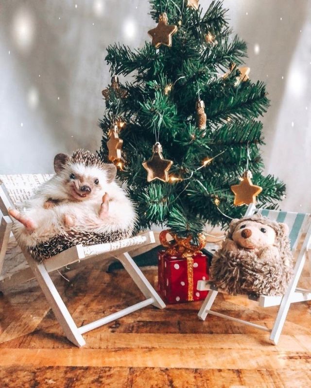 ������ � ������� �� ��-���������� �����, ��� ����� �� ���������..