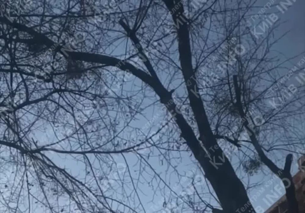 ���������� ��� �������� � ������� � �����, ���������������, ���������, ��������, � ����� � ���� ������ ������� ������� ������