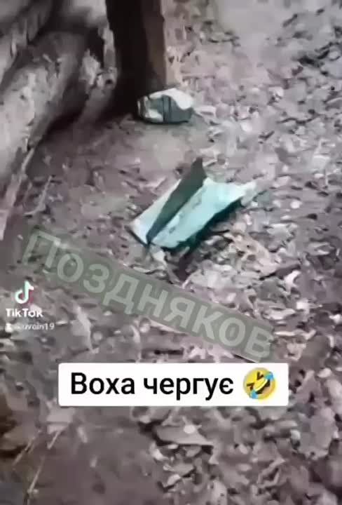 ��� ������� ������. ����� ������� �������� �������� ����� � ����?!