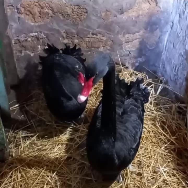 ����� ��� ��������!. ������ ��������������� ����� ��. �������� ���������� �������� �� ������� ������ � ������ ��� ��� �����