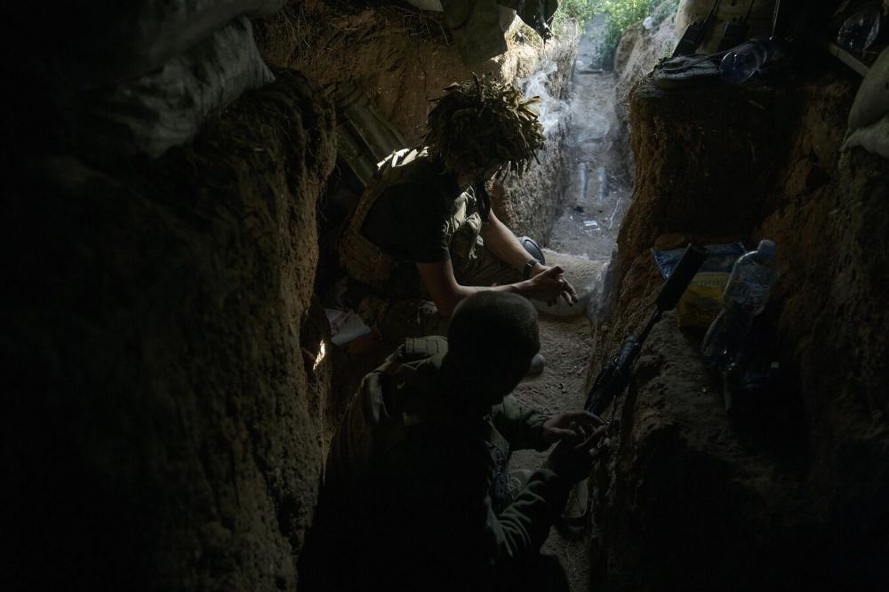 ��������: ��� � ����������� ������� ��� ������������ ������� ������������ ������