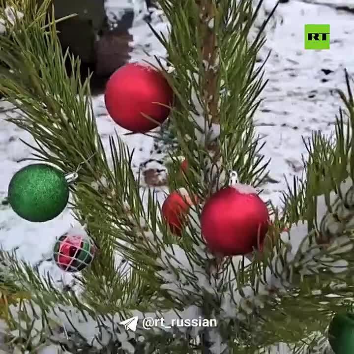 ����� ���� ������, ���� ���������� [�� ��], ����-���� ����� ���������, ��������� � �������� ������������