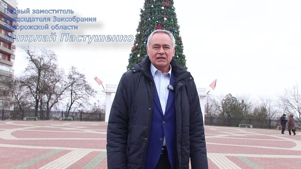 Молодогвардейцы организовали для деток города Днепрорудного конкурсно-развлекательную программу к Новому Году