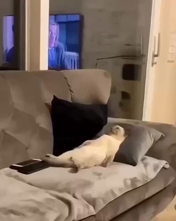 ������ ����, ��������!. ����� � ������� ��������! �������������� ��