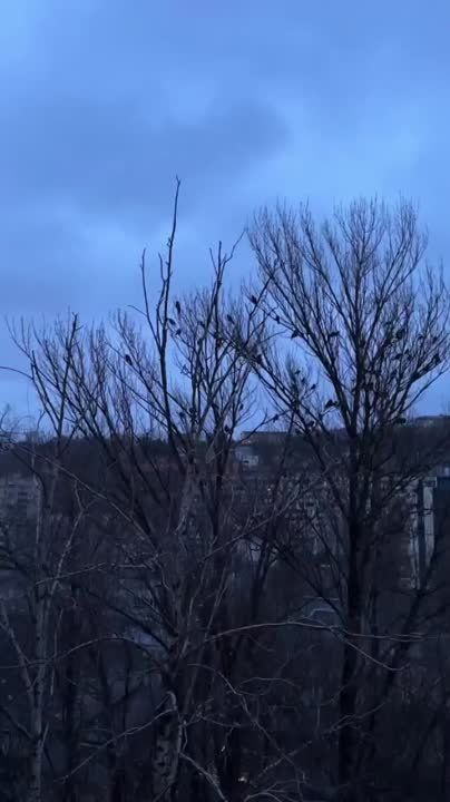 ������ ����� �������������� �������� �� ���� � �����