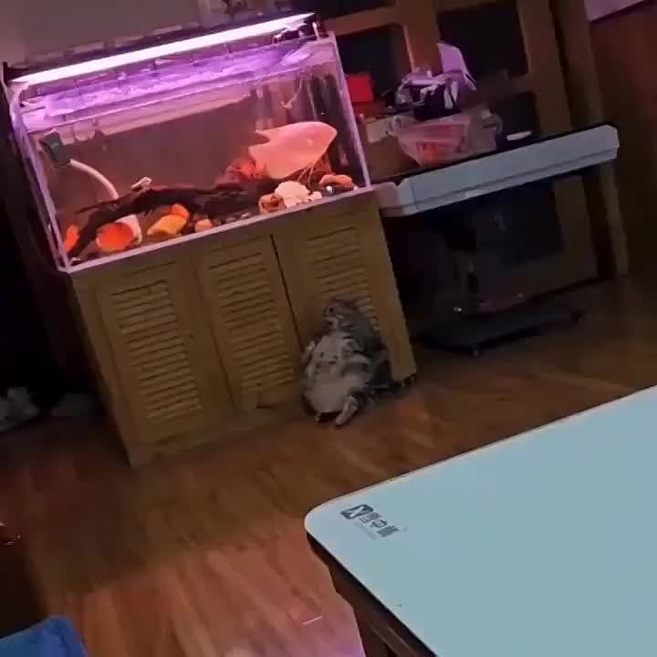 ����� �������-�� ���� ��� ��������..