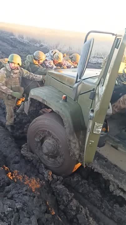 ������� �������: ����� ��� ������ "����" �� ����������� ������