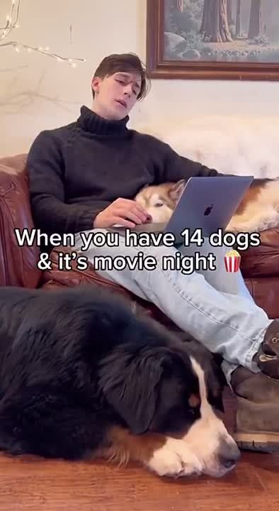 ����� � ���� ���� 14 ����� � �� �������� ���������� �����