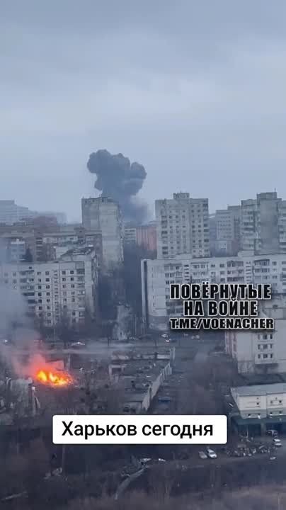 � ��� �������.... ��� ����� | ��� ��� | ��� ��� #����������� #��������������������� #��������� #������