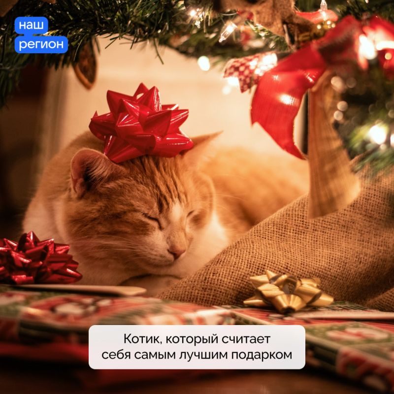 � ����������� ����� �����!