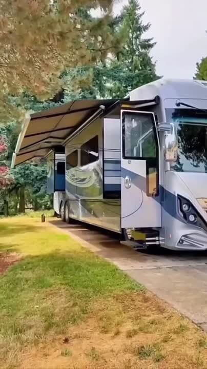 ��� ���� ����� �������� ����� ��������