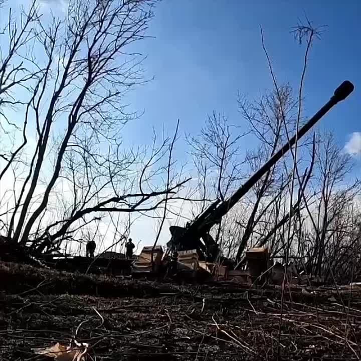 ���������� ������������ ���������� ������� ��� � ����������� �������