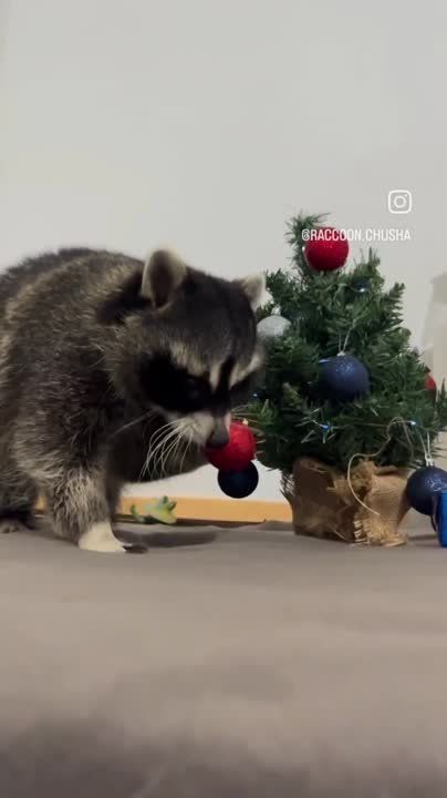 ������ ����, ������! �������� ��� ��� � ��������� ����������!