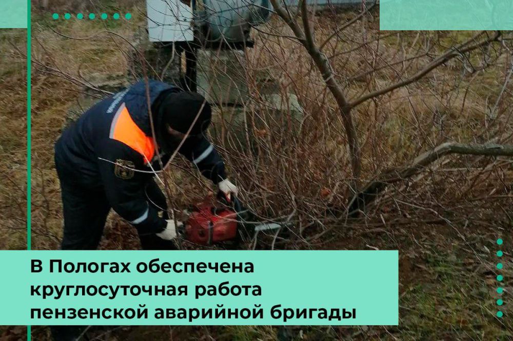 Шефы из Пензы обеспечивают бесперебойную работу объектов электрохозяйства в Пологах