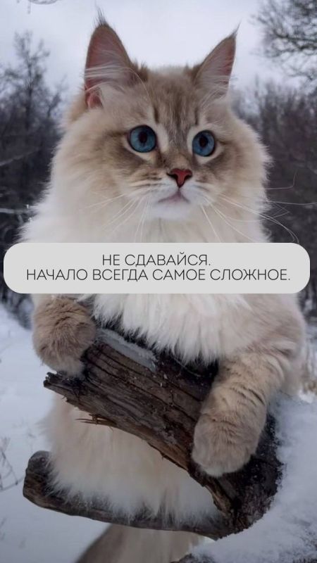 ��������� ���� �������. ���������� ��� ��� ����������� ������������ ��������. ���������, ����������, ������� �� ��������! � ����� � ���� ���� ��� ���� ����� ����� ���������, � ���� ����������