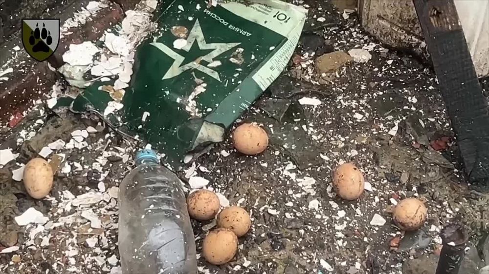 ��������, ����������� �����������