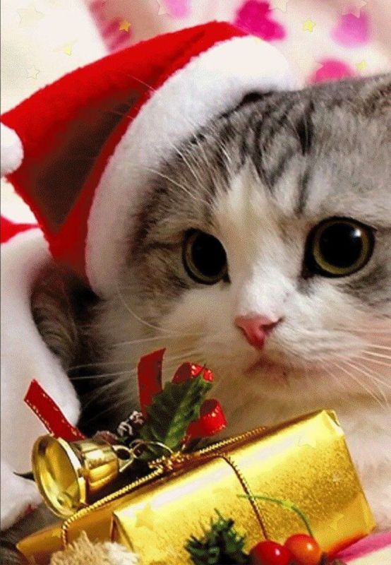 ������� ������ �� �������!