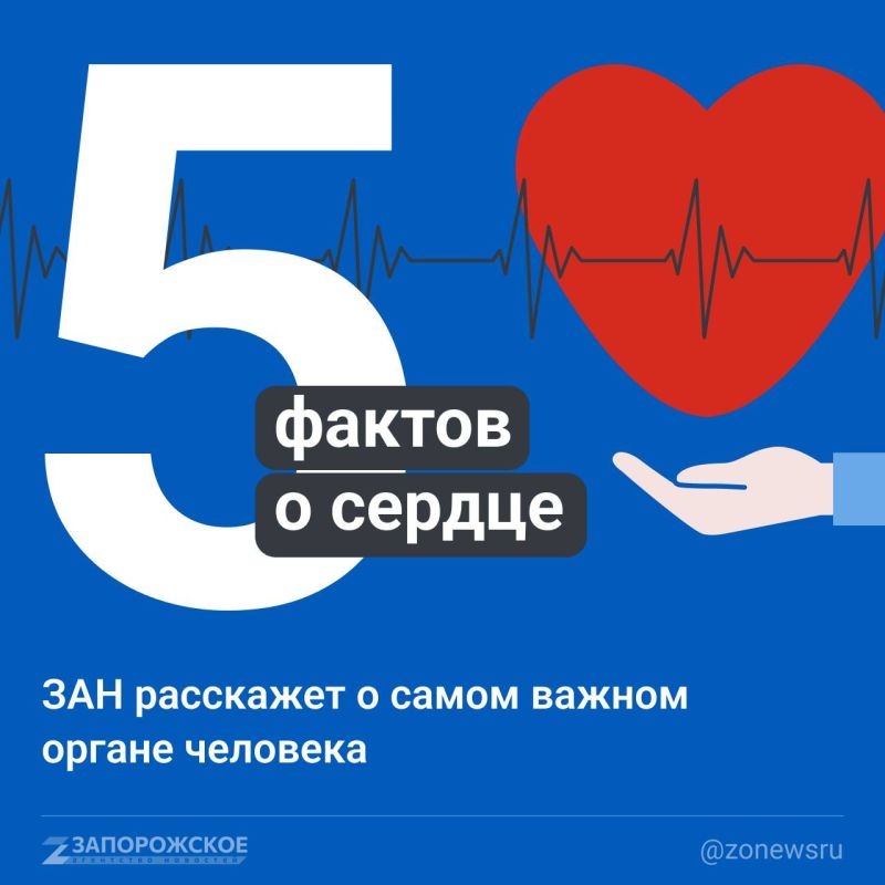 ������� ������ � ������, ������ ������, ������� �������� �� �������������� � ��������� ������ � ���